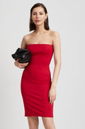 Metro Strapless Dress